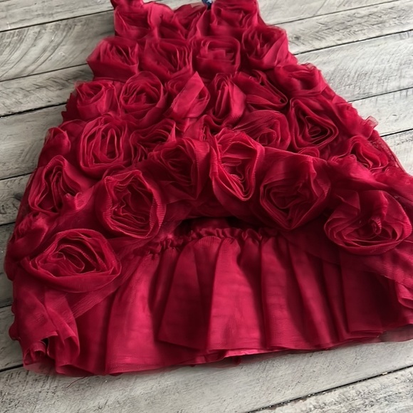 Gap Dark Red Holiday Dress Floral Tulle Roses Size 4 - Picture 3 of 7